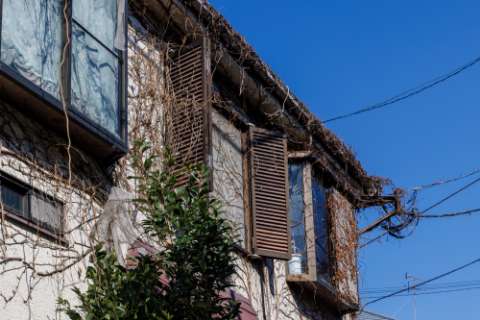 のイメージ写真