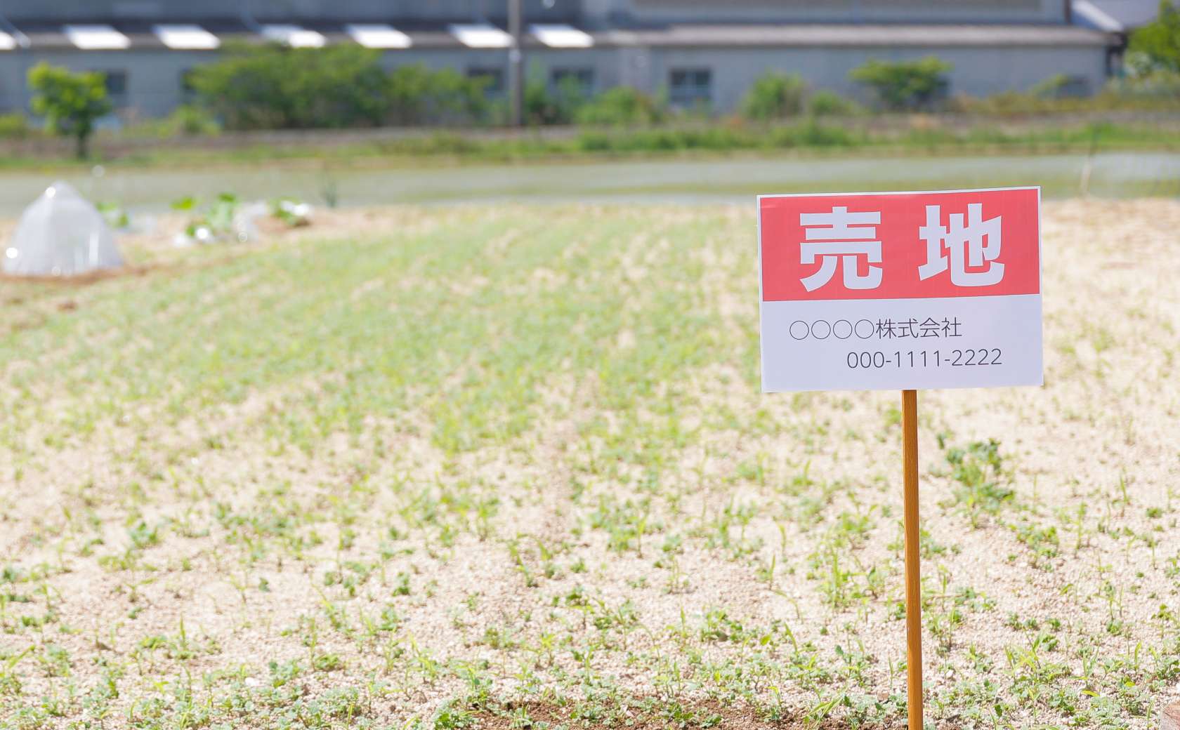 空き地のイメージ写真