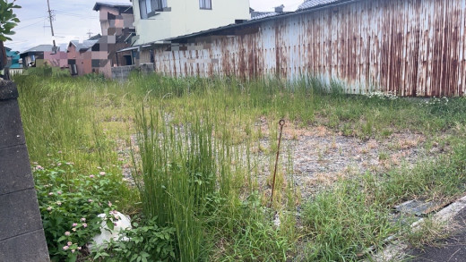 ノーイメージタグ